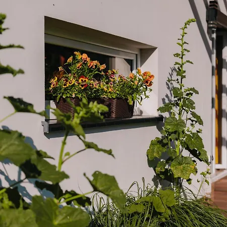 Na Koncu Swiata Smetowo *