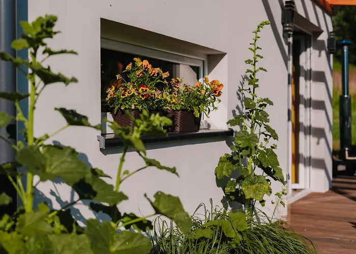 Na Koncu Swiata Smetowo *